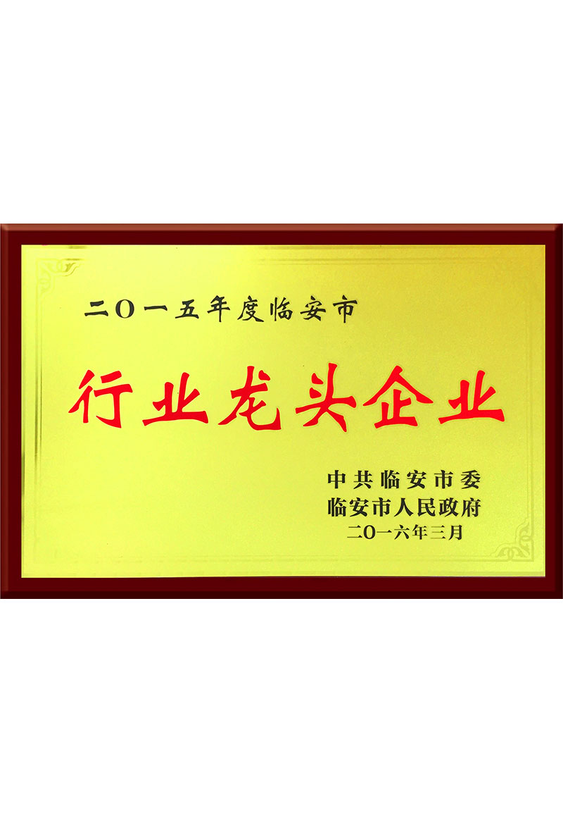 臨安市行業(yè)龍頭企業(yè)